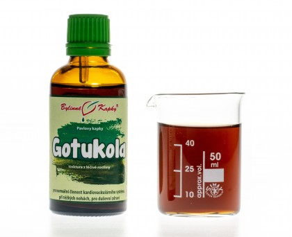Gotukola (gotu kola) | tinktura | 50 ml