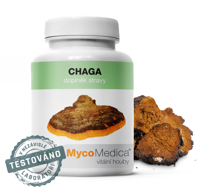 Chaga | MycoMedica | 90 kapslí