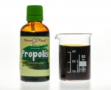 Propolis kapky | tinktura | 50 ml