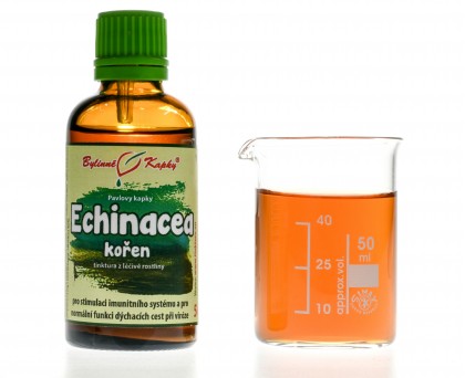Echinacea (třapatka) kořen | tinktura | 50 ml
